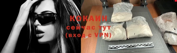 стафф Зеленокумск