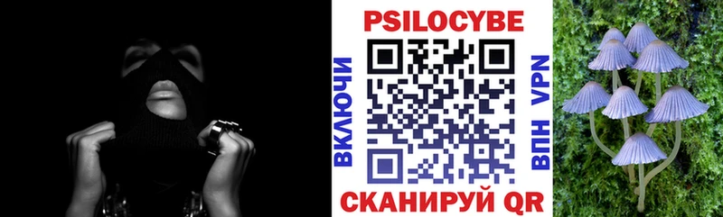 где продают наркотики  Шадринск  Псилоцибиновые грибы Psilocybe 